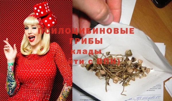 а пвп мука Нея